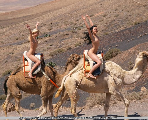 512px x 416px - A Camel Ride In Giza - ErosBlog: The Sex Blog