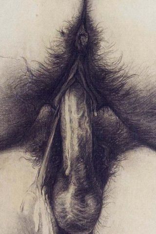 Hd Fuck Wallpaper - Explicit Erotic Wallpapers For Your iPhone - ErosBlog: The Sex Blog