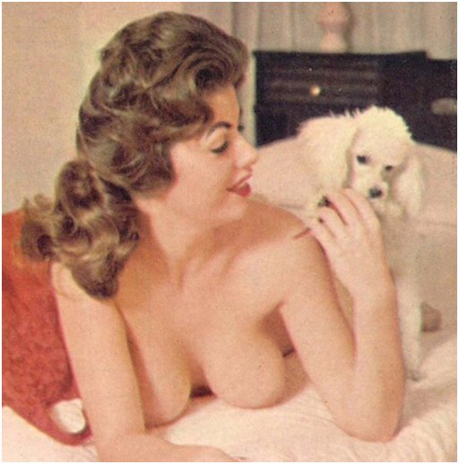 model with big natural boobs and a small white poodle dog