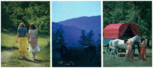 three views of cottagecore lesbian gypsy life