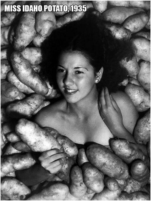 meme version of woman buried in potatoes photo