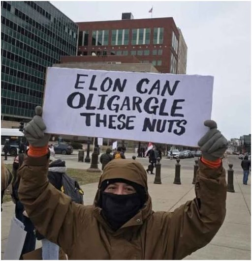 heavily dressed protester holds a sign that says Elon can oligargle these nuts