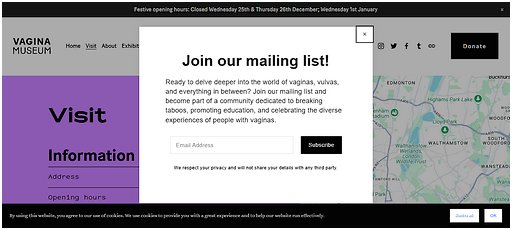 screenshot of Vagina Museum home page